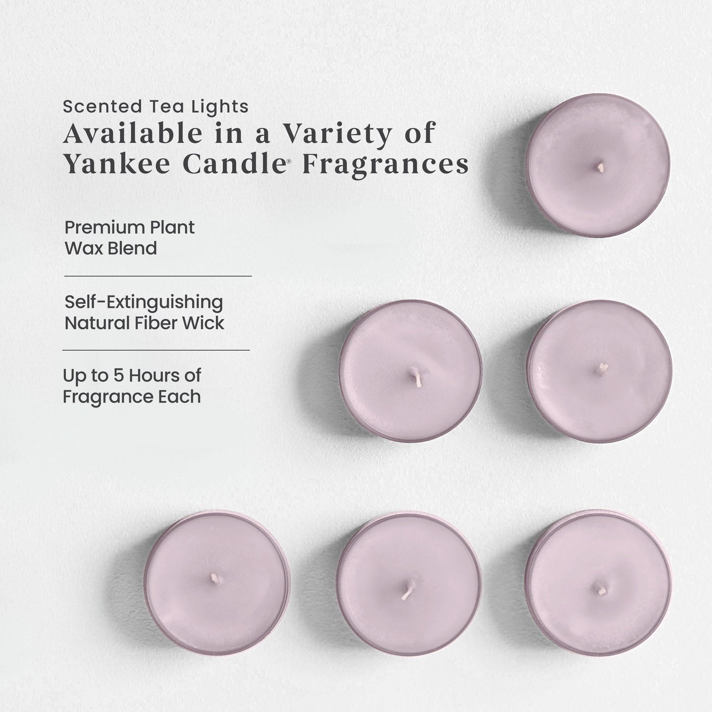 Dried Lavender & Oak​