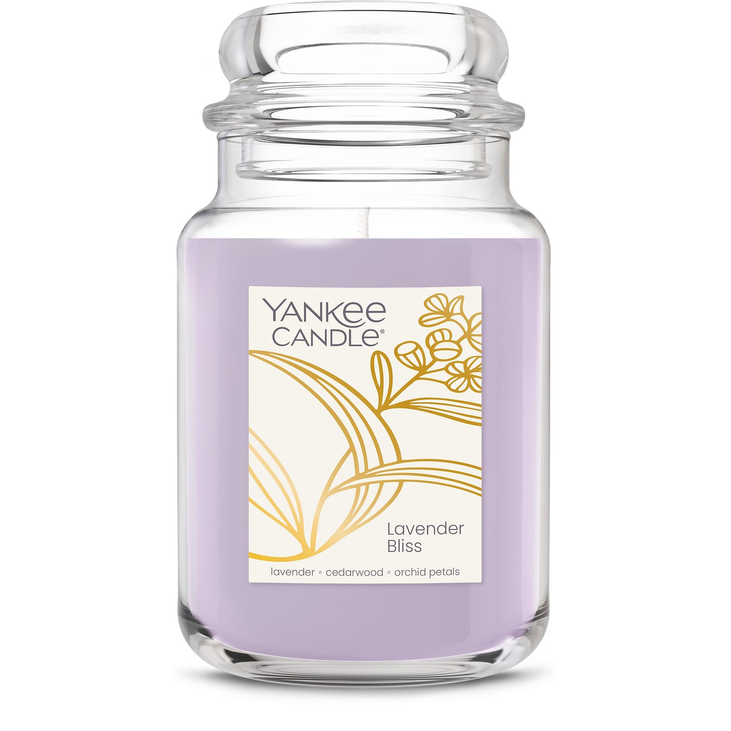 Lavender Bliss Studio 7-0879